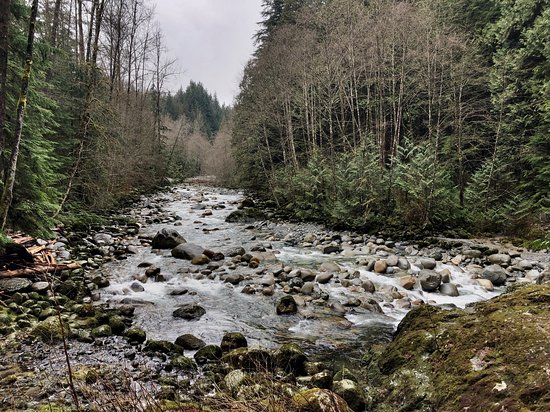 North Vancouver preview